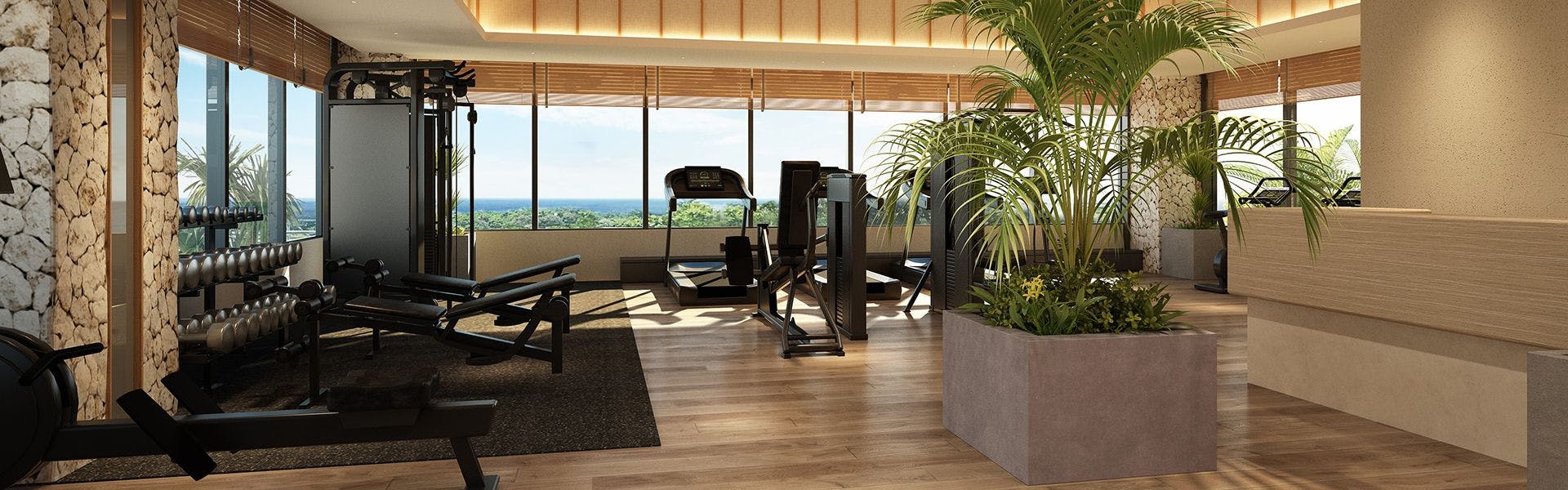 アラマンダ　スプレンディド