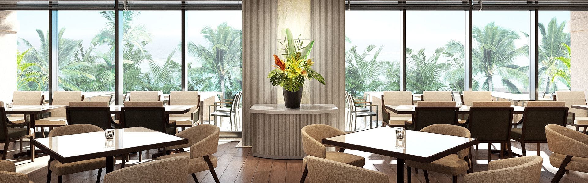 アラマンダ　スプレンディド