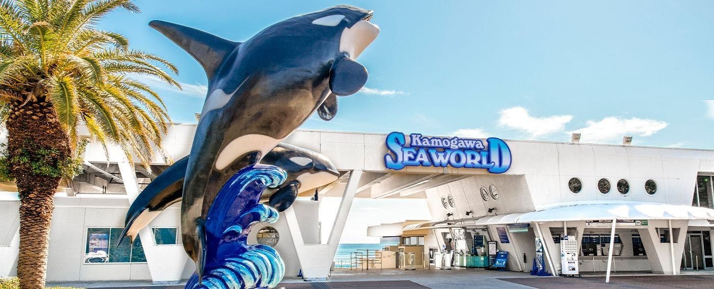 Kamogawa Sea World