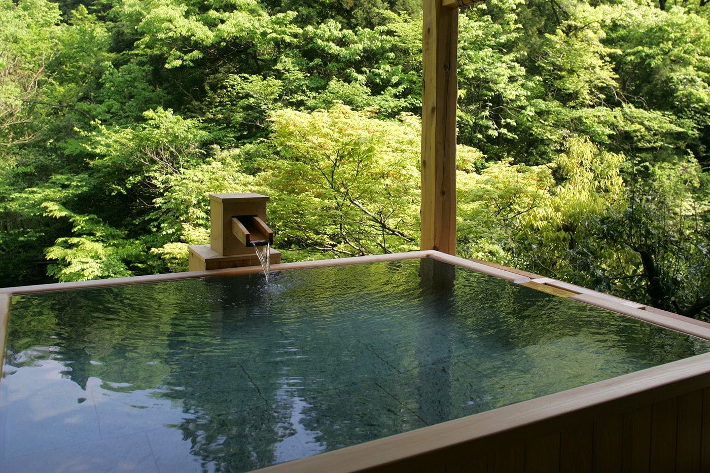 The Kayotei
