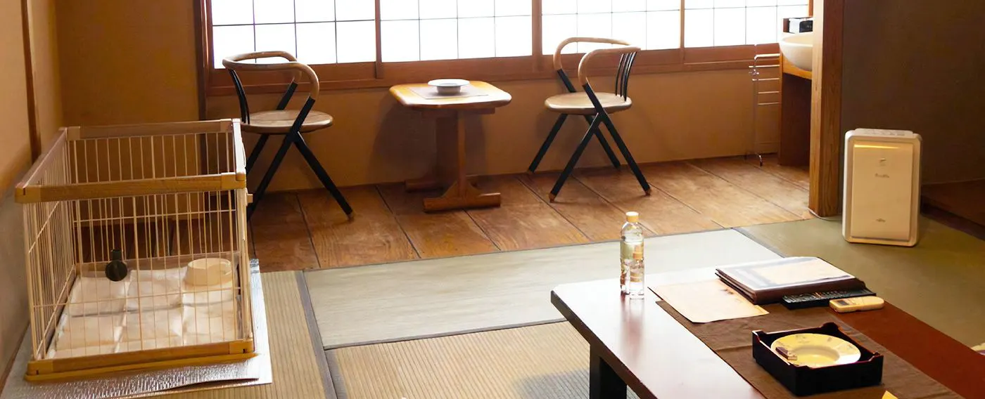 สัตว์เลี้ยง 2 ตัว