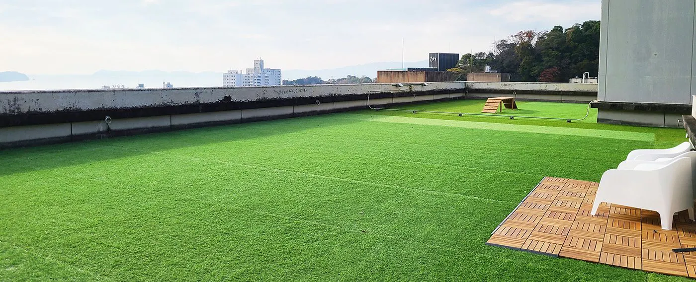 ลานวิ่งเล่นสำหรับสุนัข