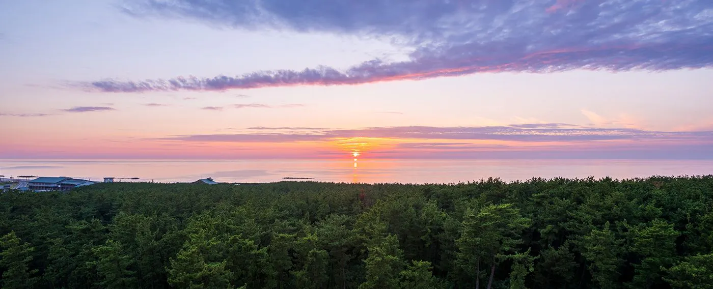 พระอาทิตย์ตก