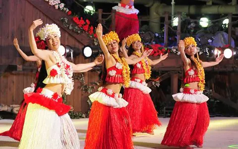 การแสดง