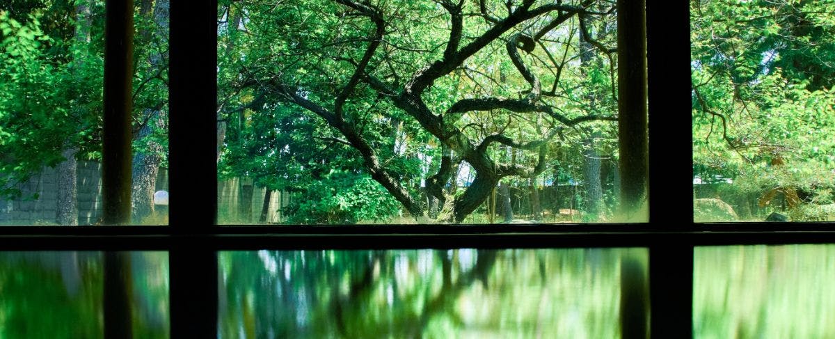 Kiji Onsen Tanakaya