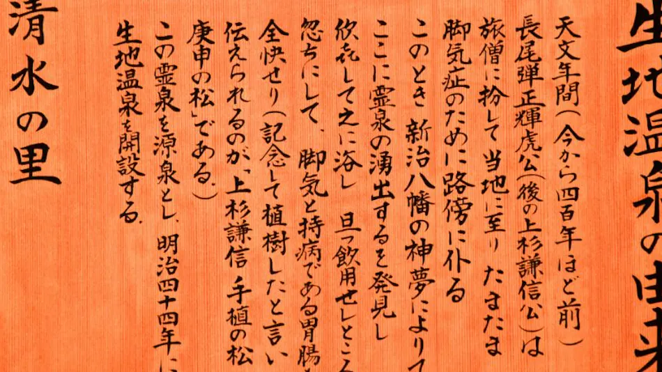 Kiji Onsen Tanakaya