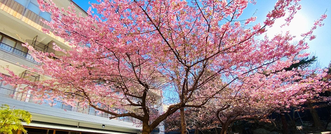Itoen Hotel Matsukawa-kan