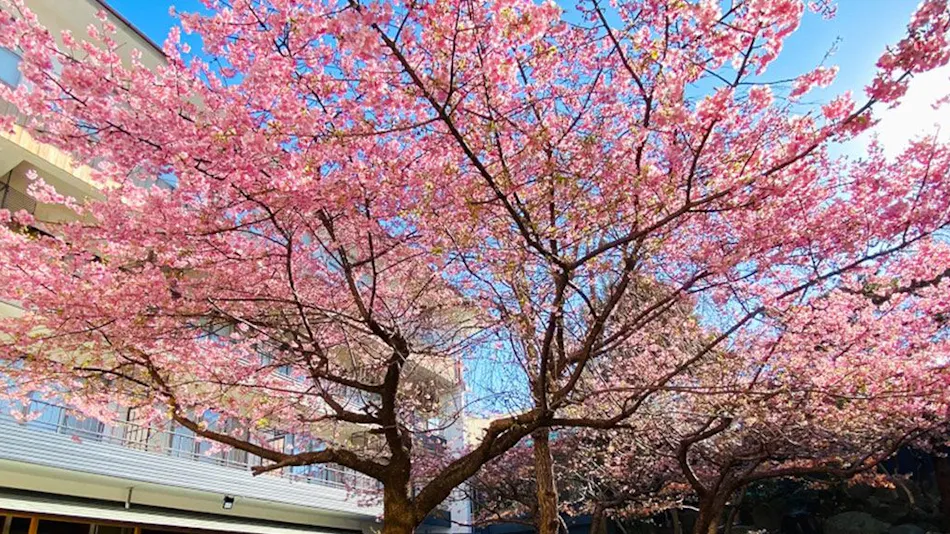 Itoen Hotel Matsukawa-kan