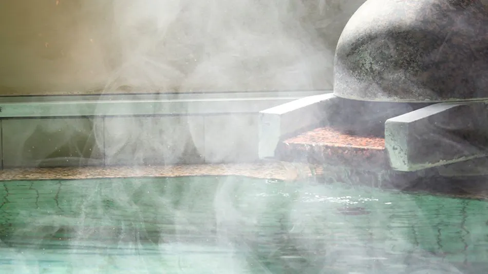 Izu Ajiro Onsen Shofuen