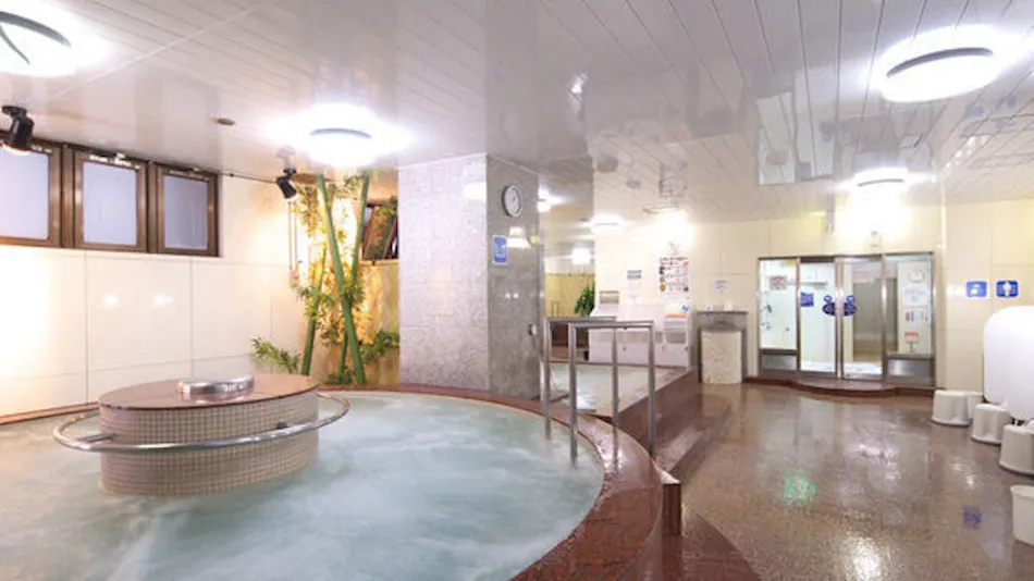 Sauna & Capsule New Wing