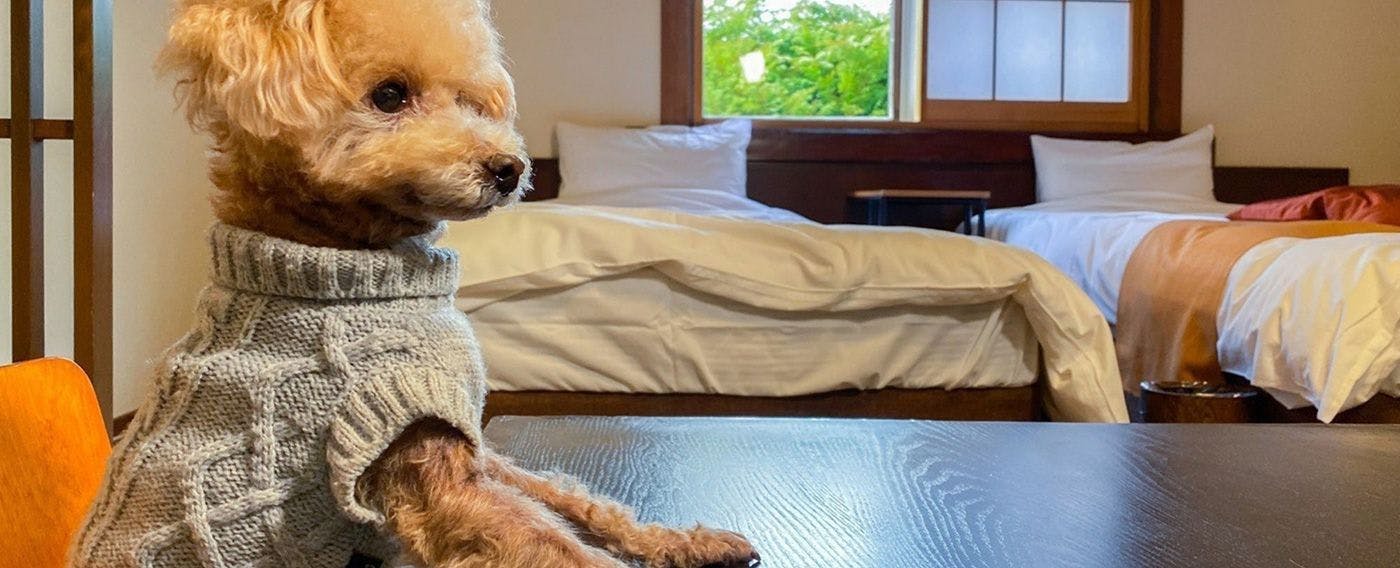 姥子温泉芦ノ湖一の湯 宿泊予約なら Yahoo トラベル