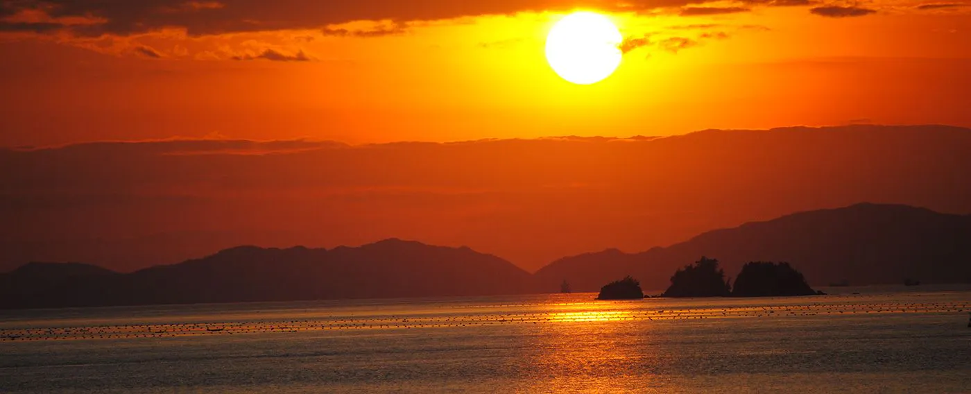 Matahari terbenam dari taman