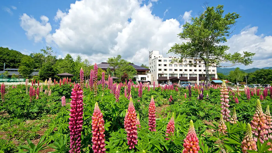 Okutone Onsen Hotel Sunbird