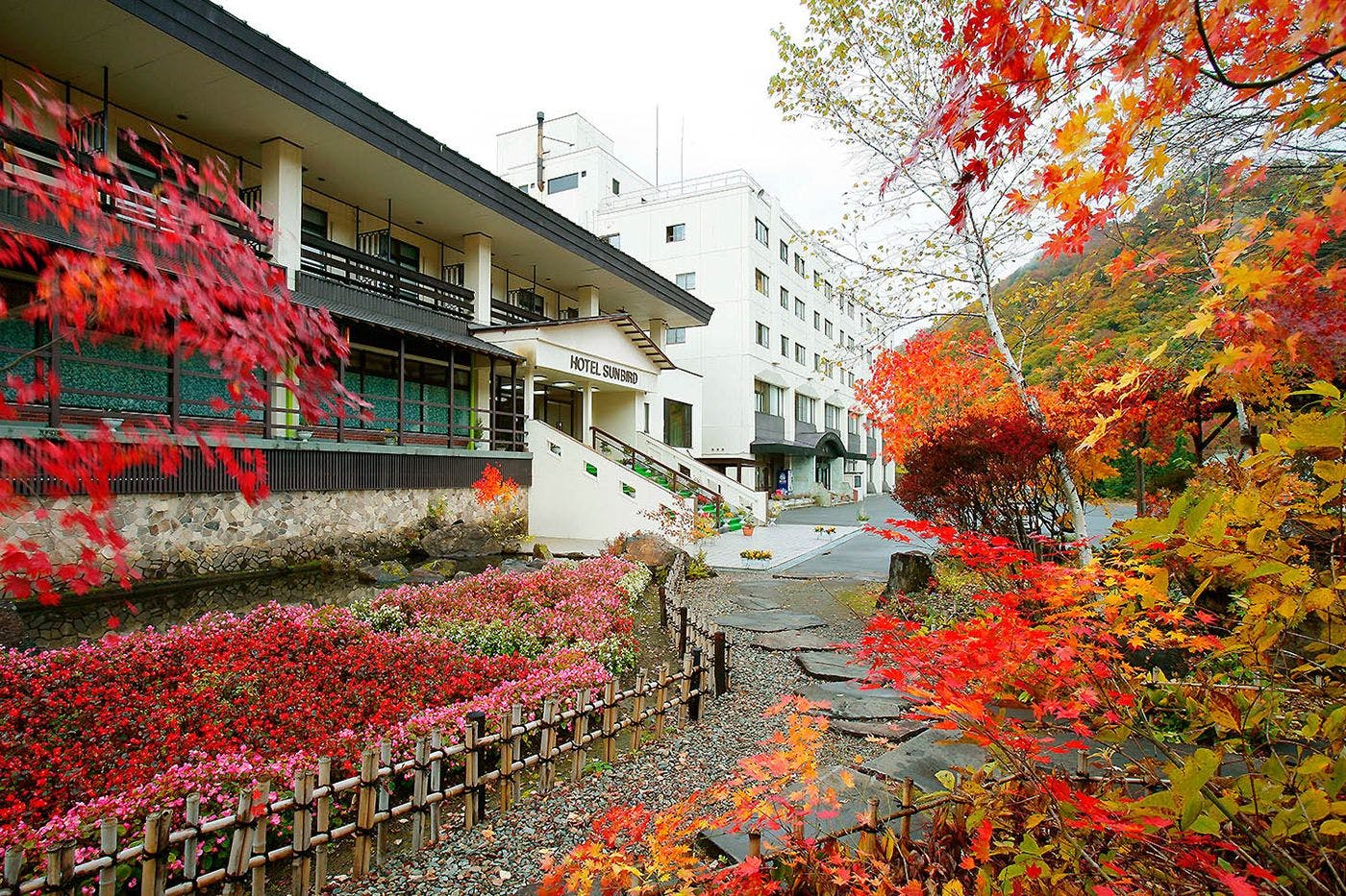 ช่วงใบไม้เปลี่ยนสี