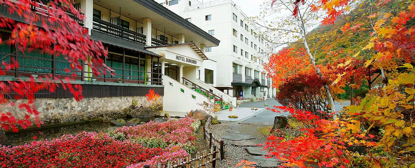 ช่วงใบไม้เปลี่ยนสี