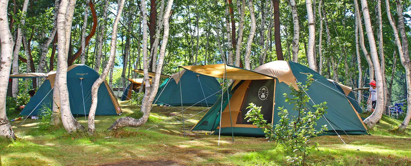 ซันเบิร์ดแคมป์การ์เด้น