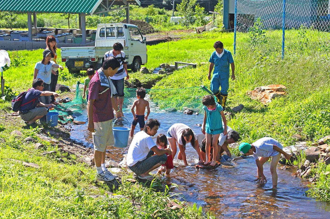 จับปลาด้วยมือ