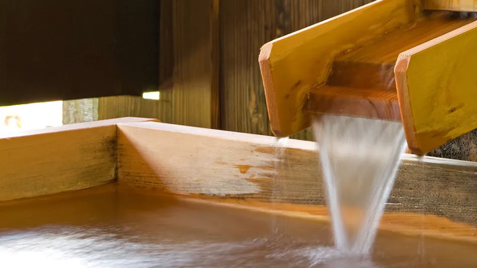 Okutone Onsen Hotel Sunbird