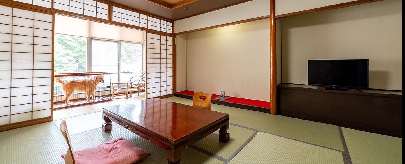 เข้าพักกับสัตว์เลี้ยง