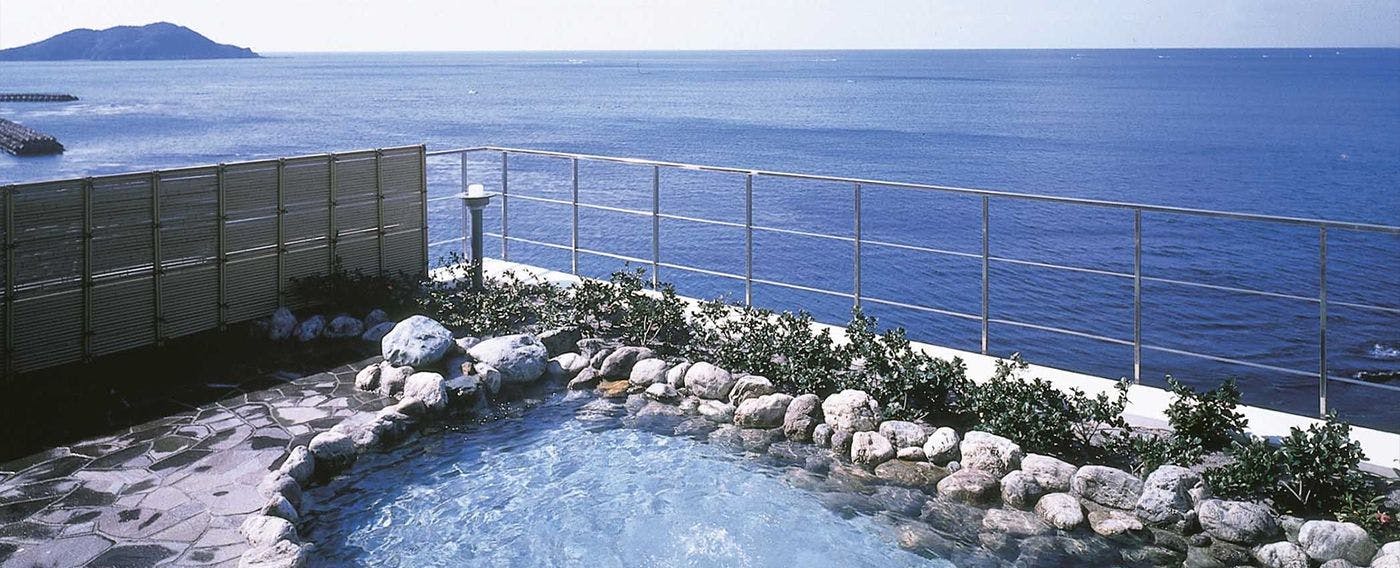 Seaside Hotel Whale View Inn
