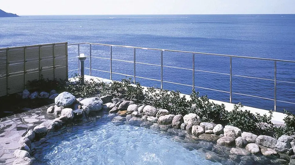 Seaside Hotel Whale View Inn
