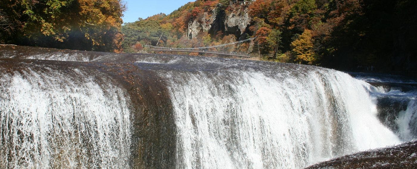 ภาพ a_tpc_tp_220728.jpg.jpg