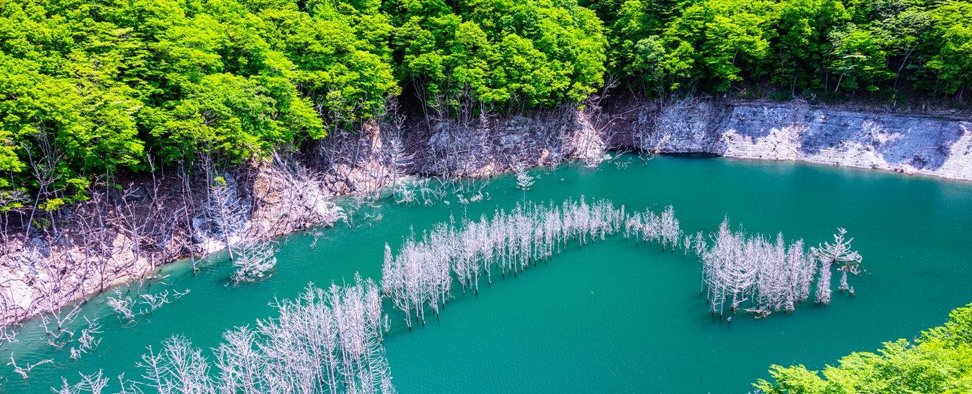 บริเวณใกล้เคียง