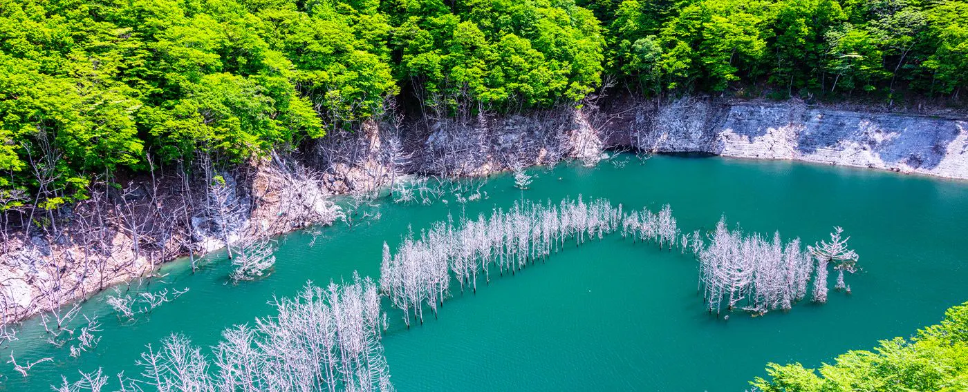 บริเวณใกล้เคียง