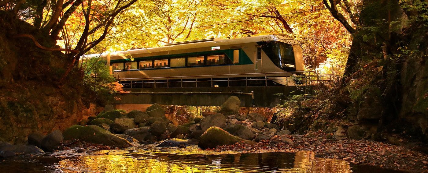 บริเวณโดยรอบในฤดูใบไม้ร่วง