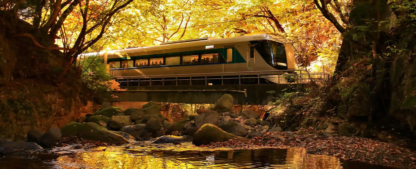 บริเวณโดยรอบในฤดูใบไม้ร่วง