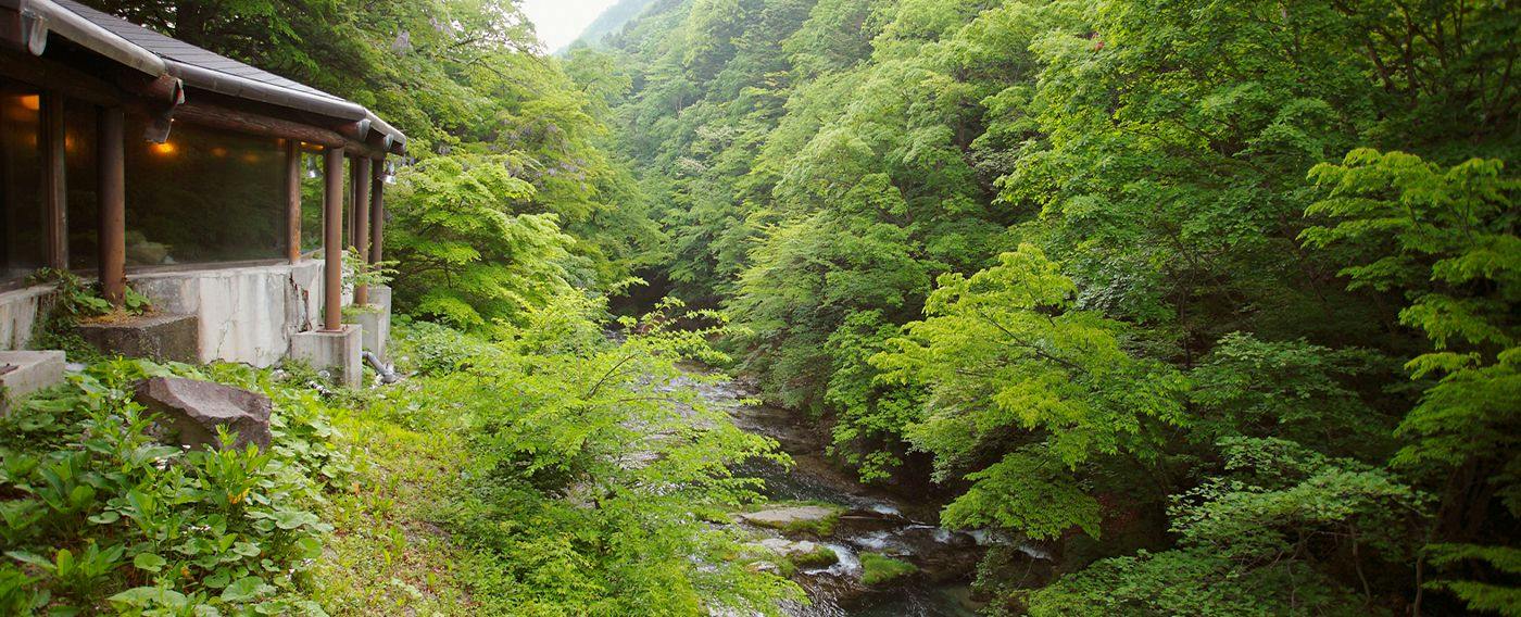 Irodori Yukashiki Hana to Hana