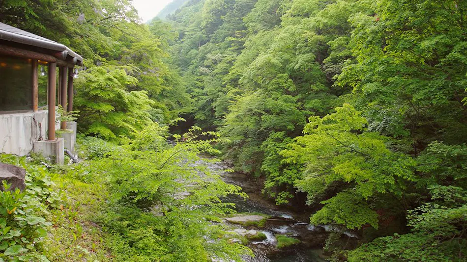 Irodori Yukashiki Hana to Hana
