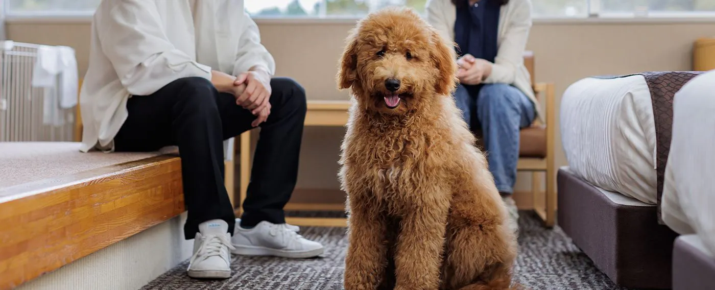 ภาพรวมการเข้าพัก