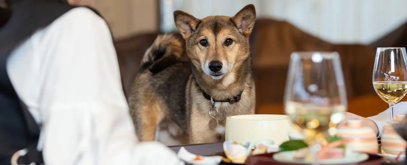 ภาพลักษณ์ของร้านอาหาร