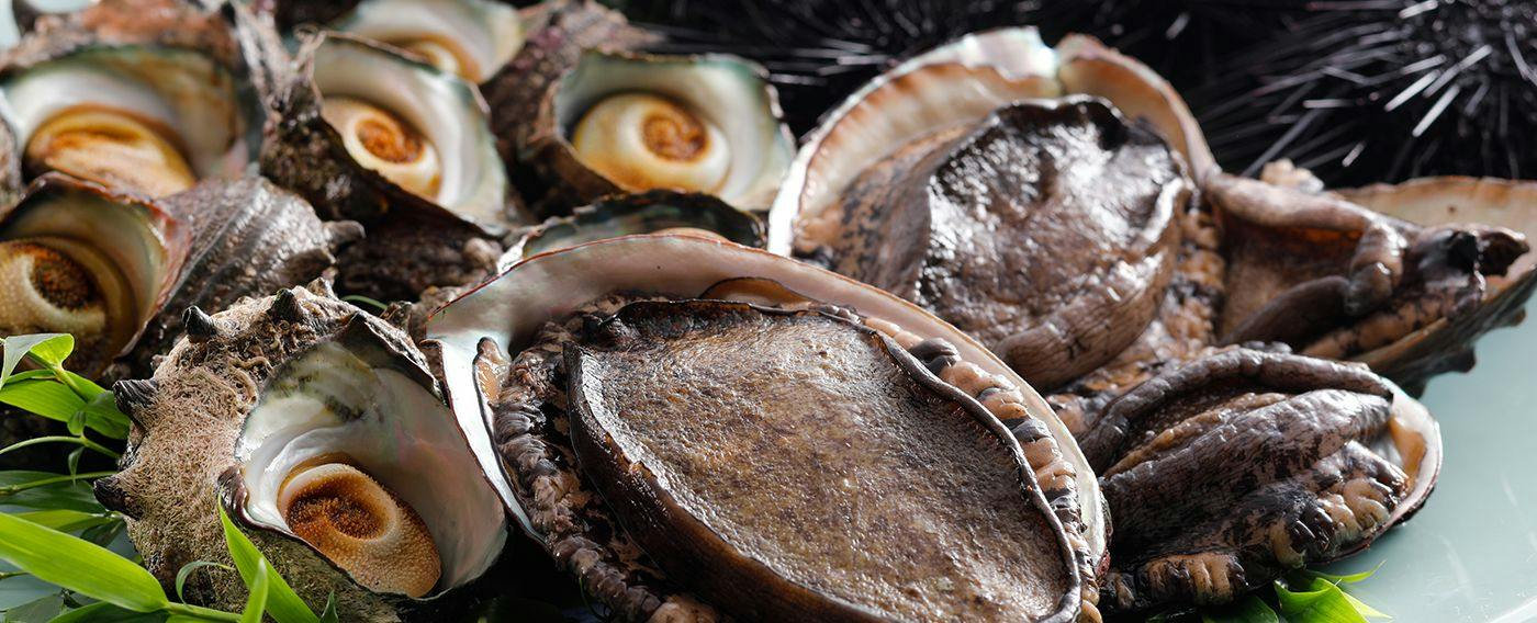Kaigunkan: The Authentic Home of Taiza Crab - Adults Only Inn