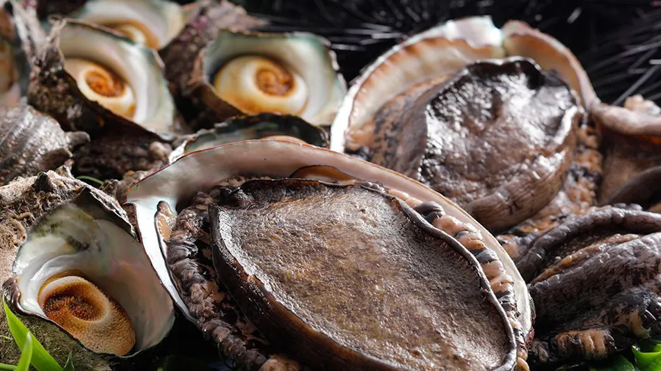 Kaigunkan: The Authentic Home of Taiza Crab - Adults Only Inn