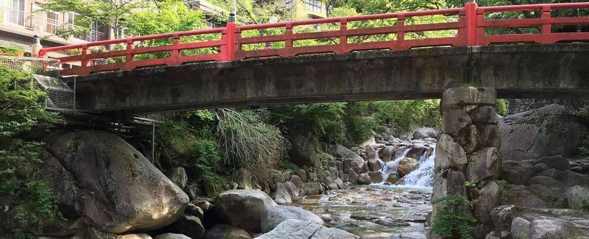Yunoyama Onsen Anniversary Inn Irodorikoyo