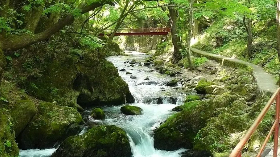 Ryusendo Onsen Hotel