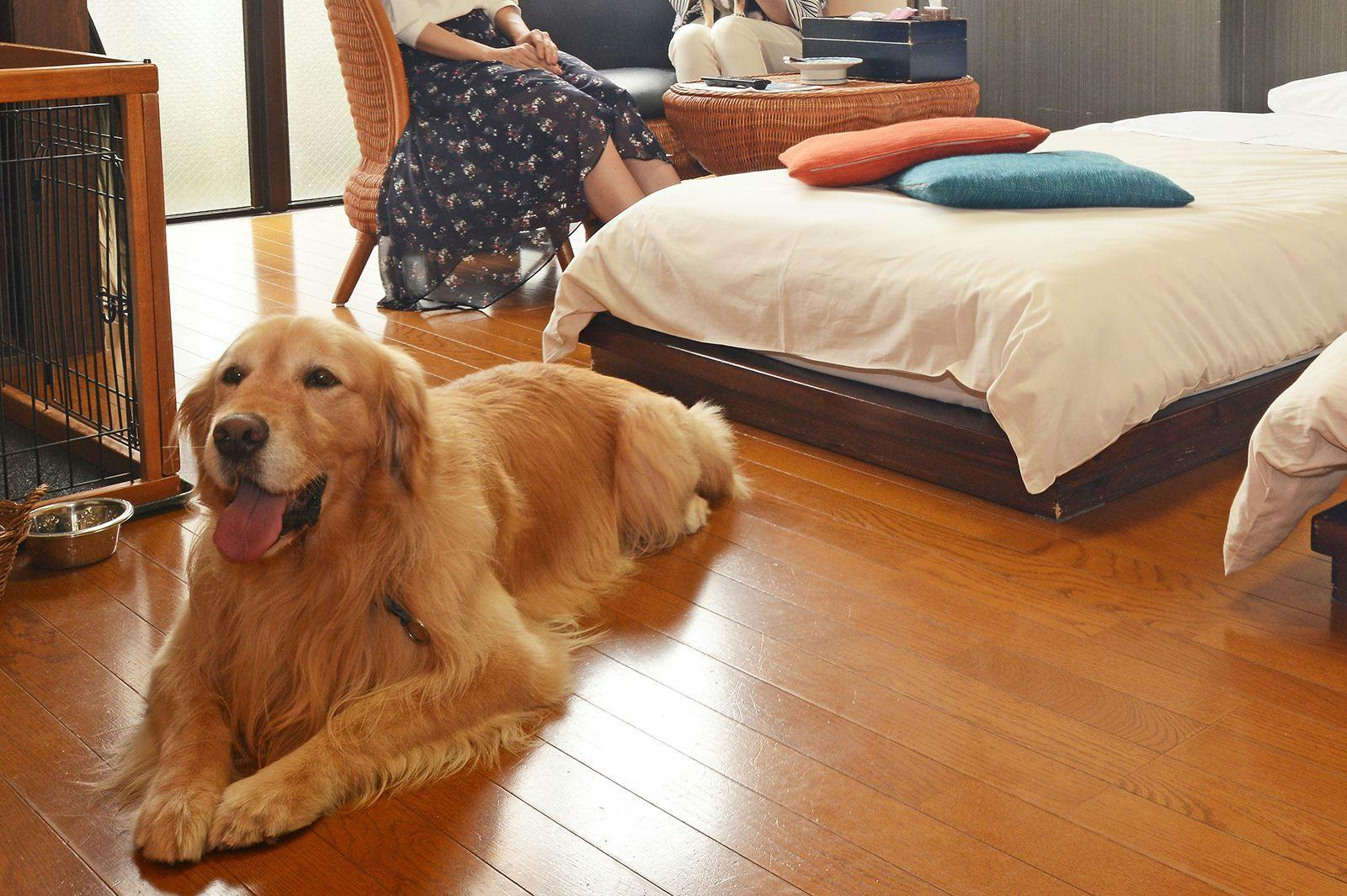 Gero Koyokan Annex Wanpakutei