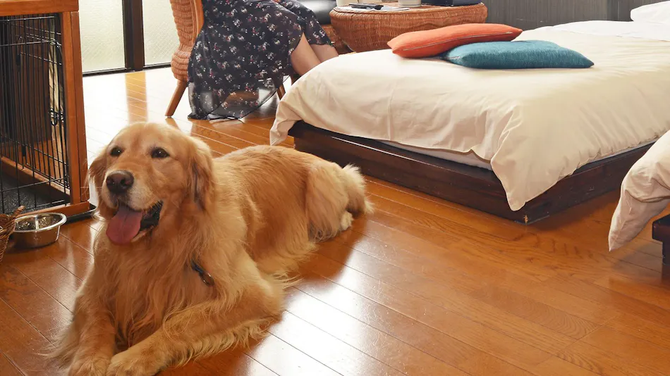 Gero Koyokan Annex Wanpakutei