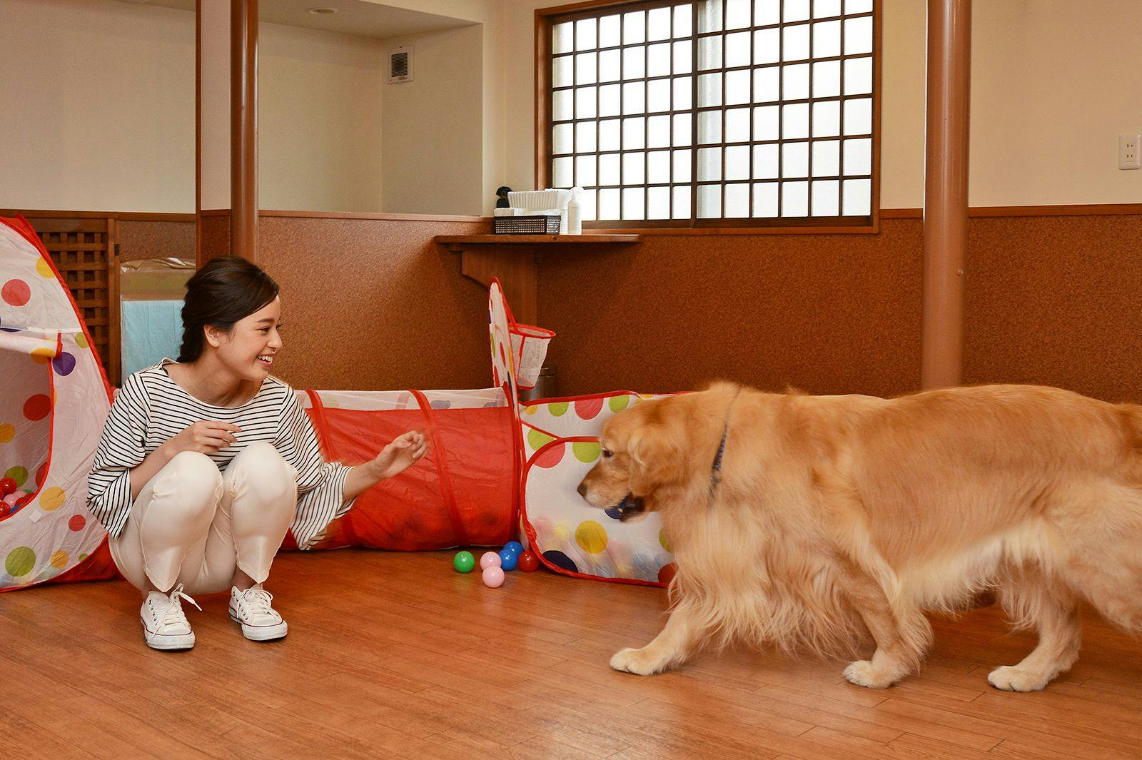 Gero Koyokan Annex Wanpakutei