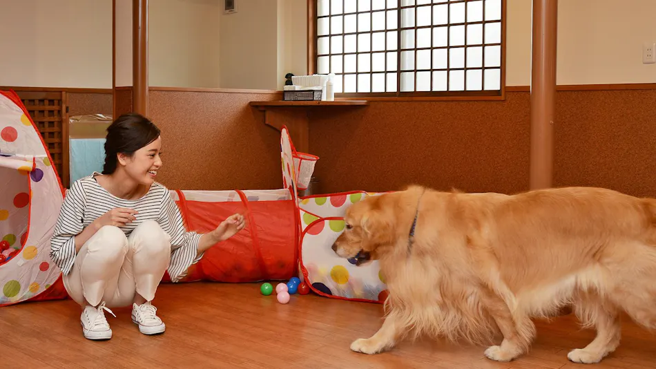 Gero Koyokan Annex Wanpakutei