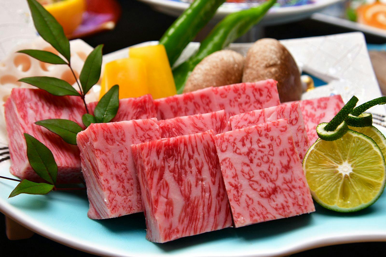 Gero Koyokan Annex Wanpakutei