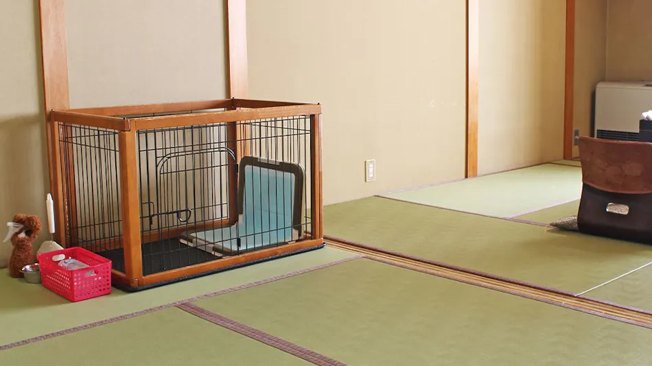 Gero Koyokan Annex Wanpakutei