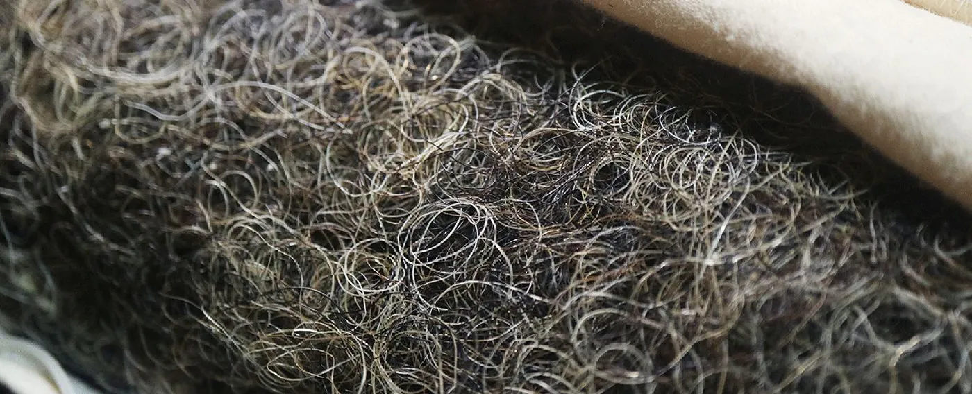 เนื้อหาที่นอน