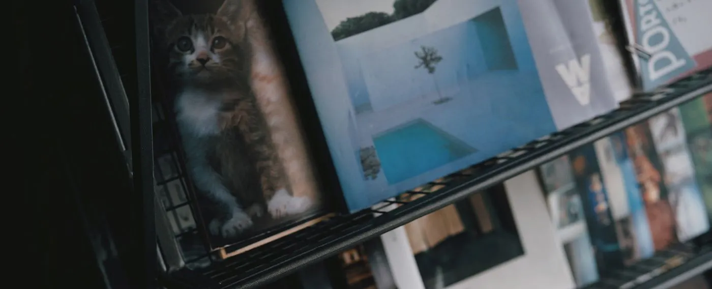 หนังสือบริจาคจำนวนมาก