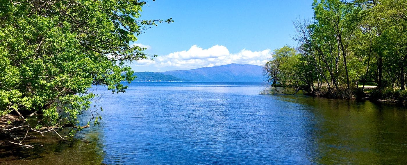 ทะเลสาบคุชชาโระที่เขียวขจี