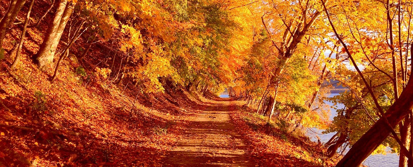 ทะเลสาบคุชชาโระในฤดูใบไม้ร่วง