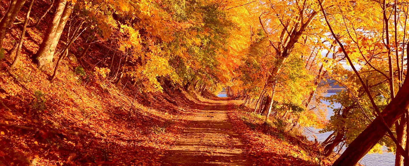 ทะเลสาบคุชชาโระในฤดูใบไม้ร่วง