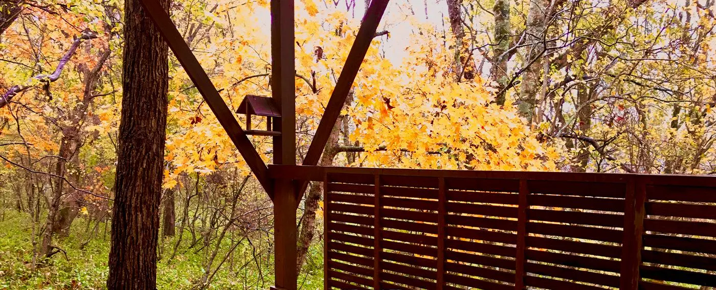 บ่อน้ำพุร้อนกลางแจ้งพร้อมใบไม้เปลี่ยนสี